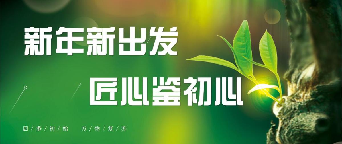 新年新出发 匠心鉴初心┃洪泉物业集团2月简报
