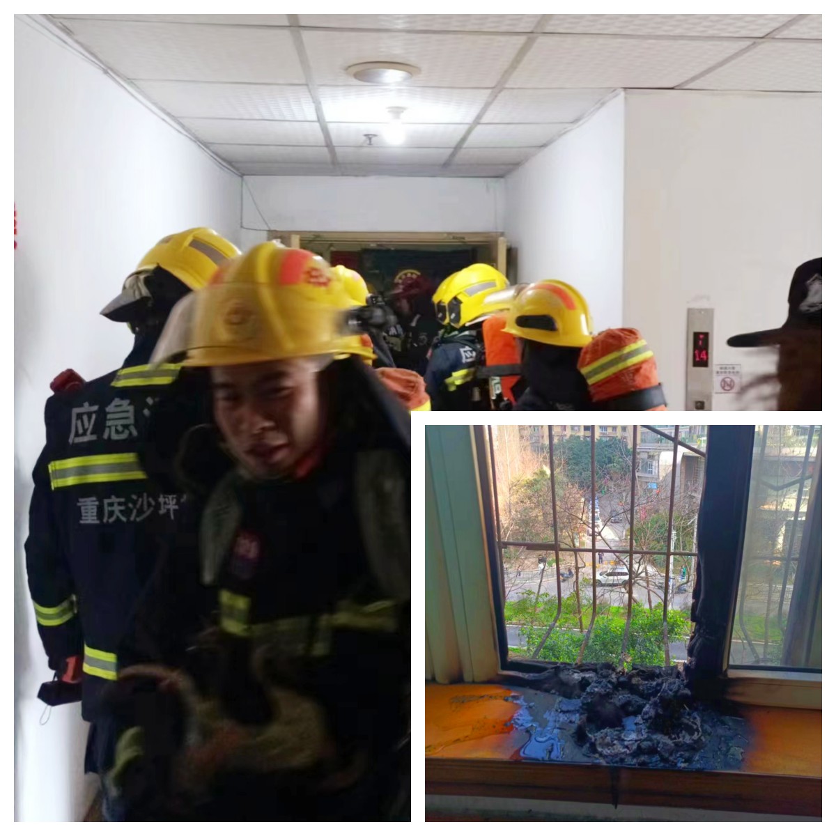 要闻简报（3月）┃洪泉物业集团