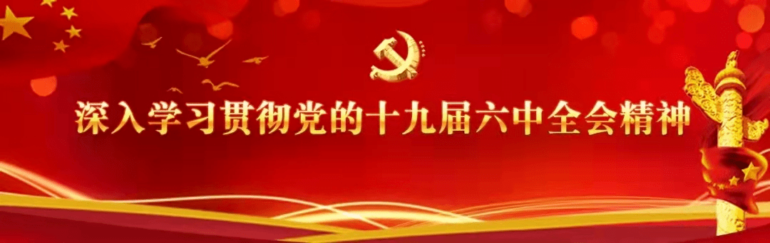 洪泉物业党委组织学习贯彻党的十九届六中全会精神