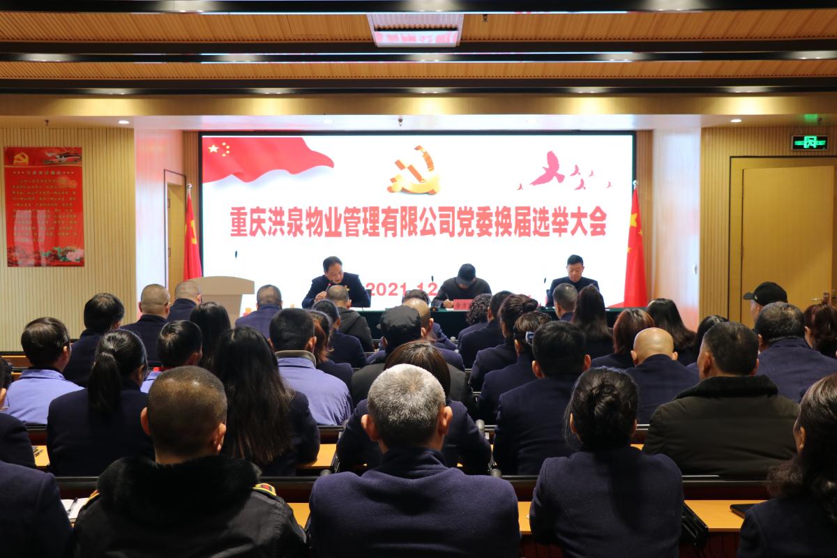 洪泉物业党委圆满完成换届选举工作